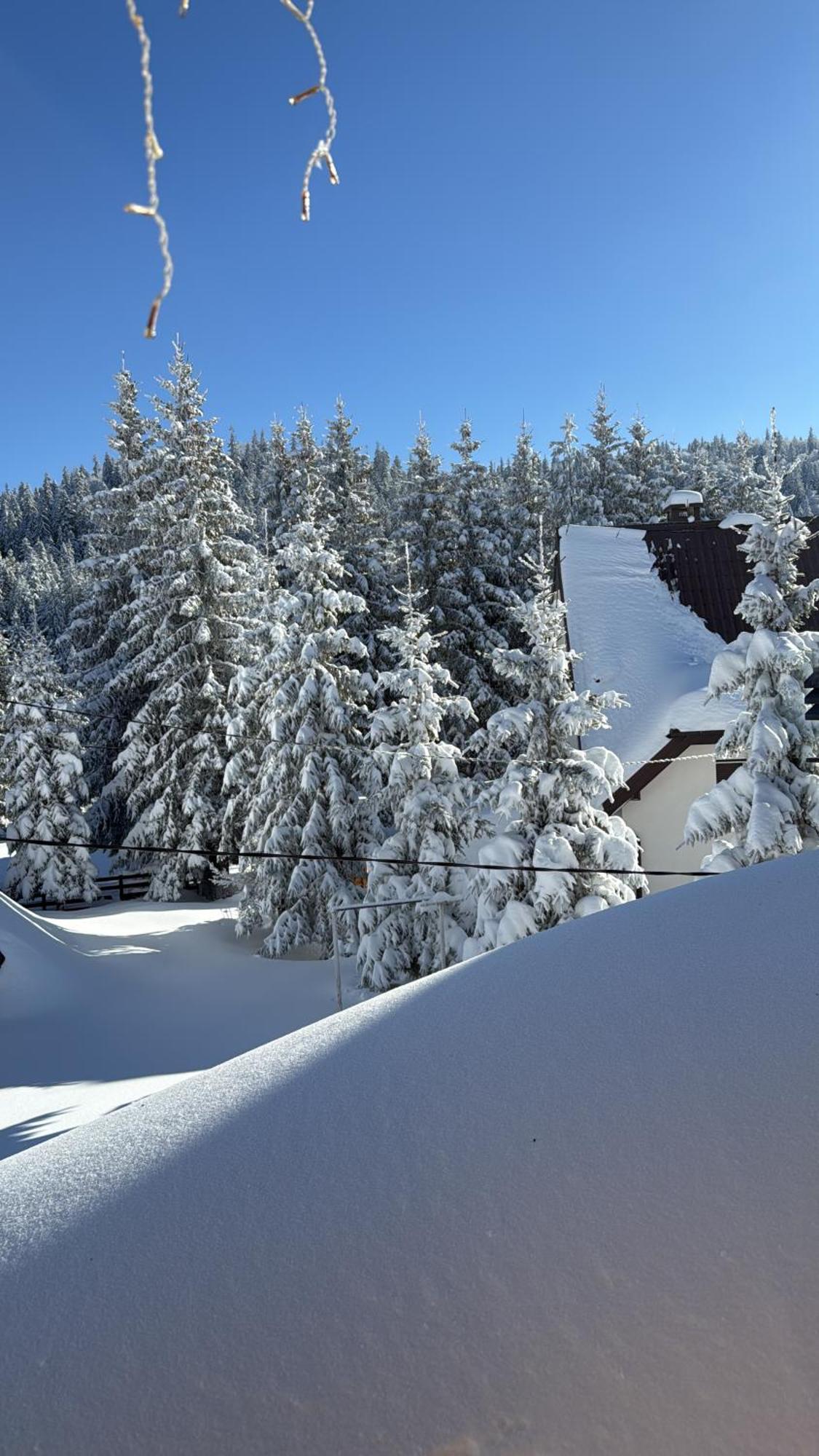 Guest House Alpha Ski Camp ヤホリナ エクステリア 写真