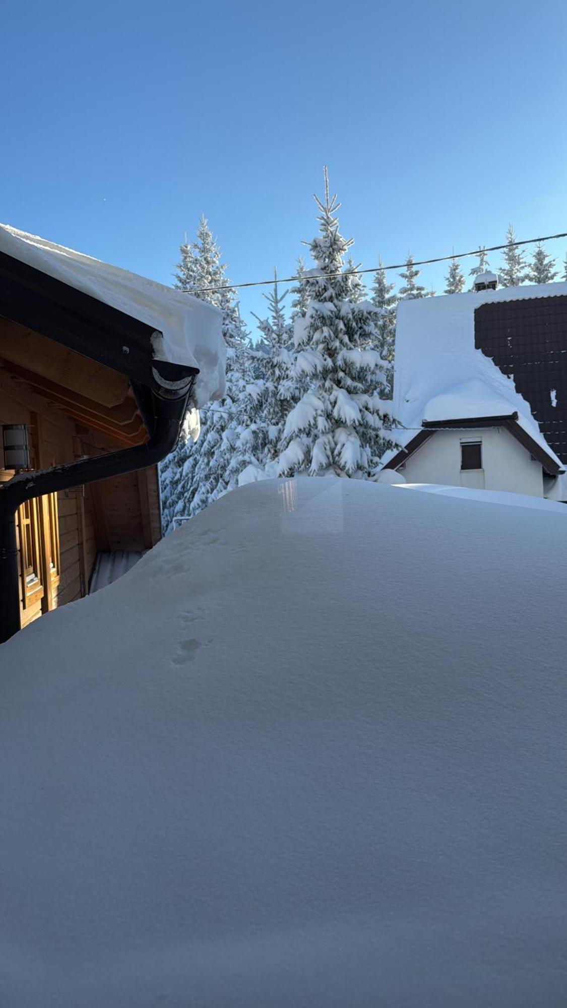 Guest House Alpha Ski Camp ヤホリナ エクステリア 写真